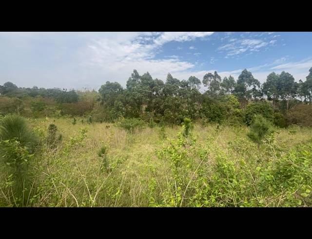 LAND FOR SALE IN ONGOYE